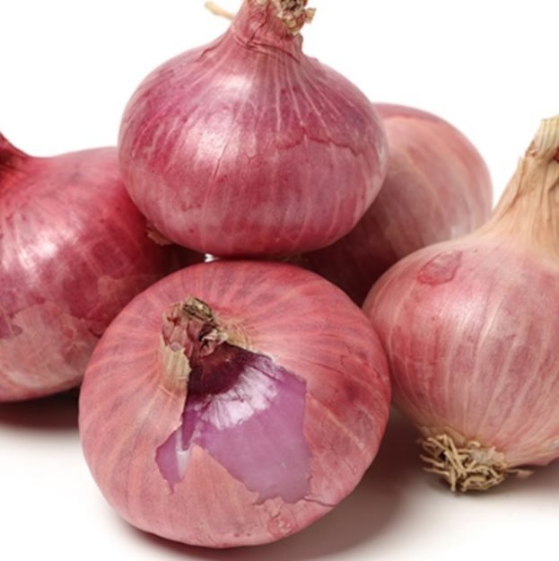 Onion-alternative_1200