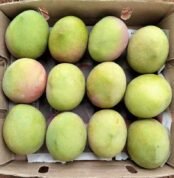 Apple mangos, "manzano"