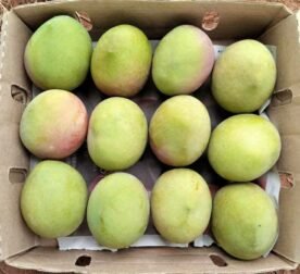 Apple mangos, "manzano"