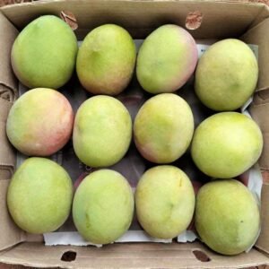 Apple mangos, "manzano"