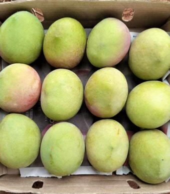 Apple mangos, "manzano"